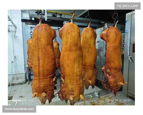 烧猪攻略获得、烧猪家庭做法：攻略秘籍：揭秘烧猪美食之旅